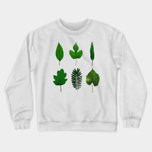 Leaves Crewneck Sweatshirt